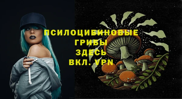 спиды Алексеевка